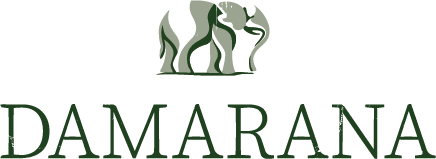 Damarana Safaris Logo